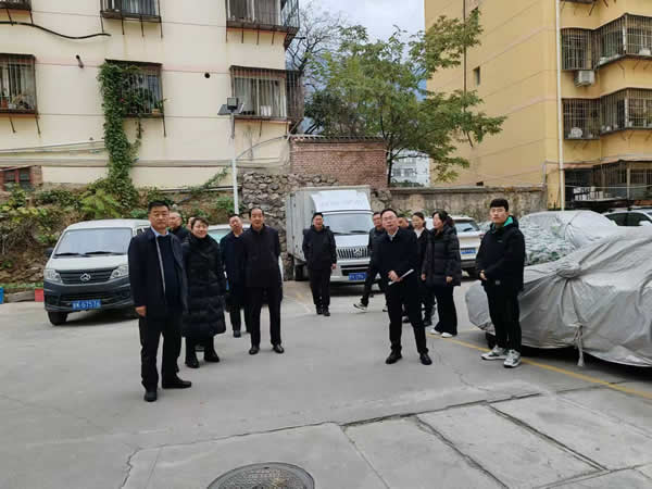 隴運集團公司召開重點項目現場調研推進會